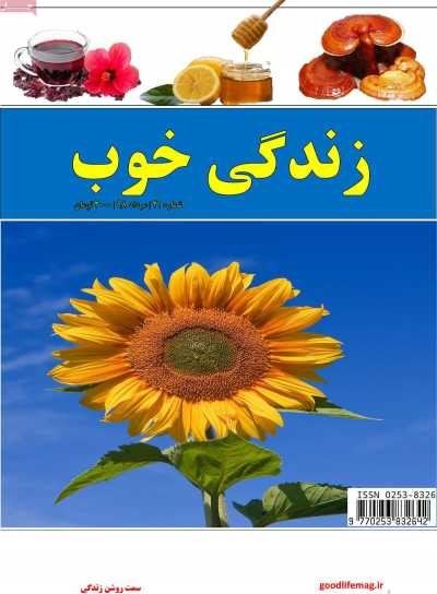 مجله زندگی خوب
