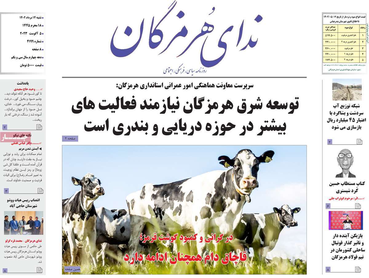 صفحه اول روزنامه های استانی / روزنامه ندای هرمزگان