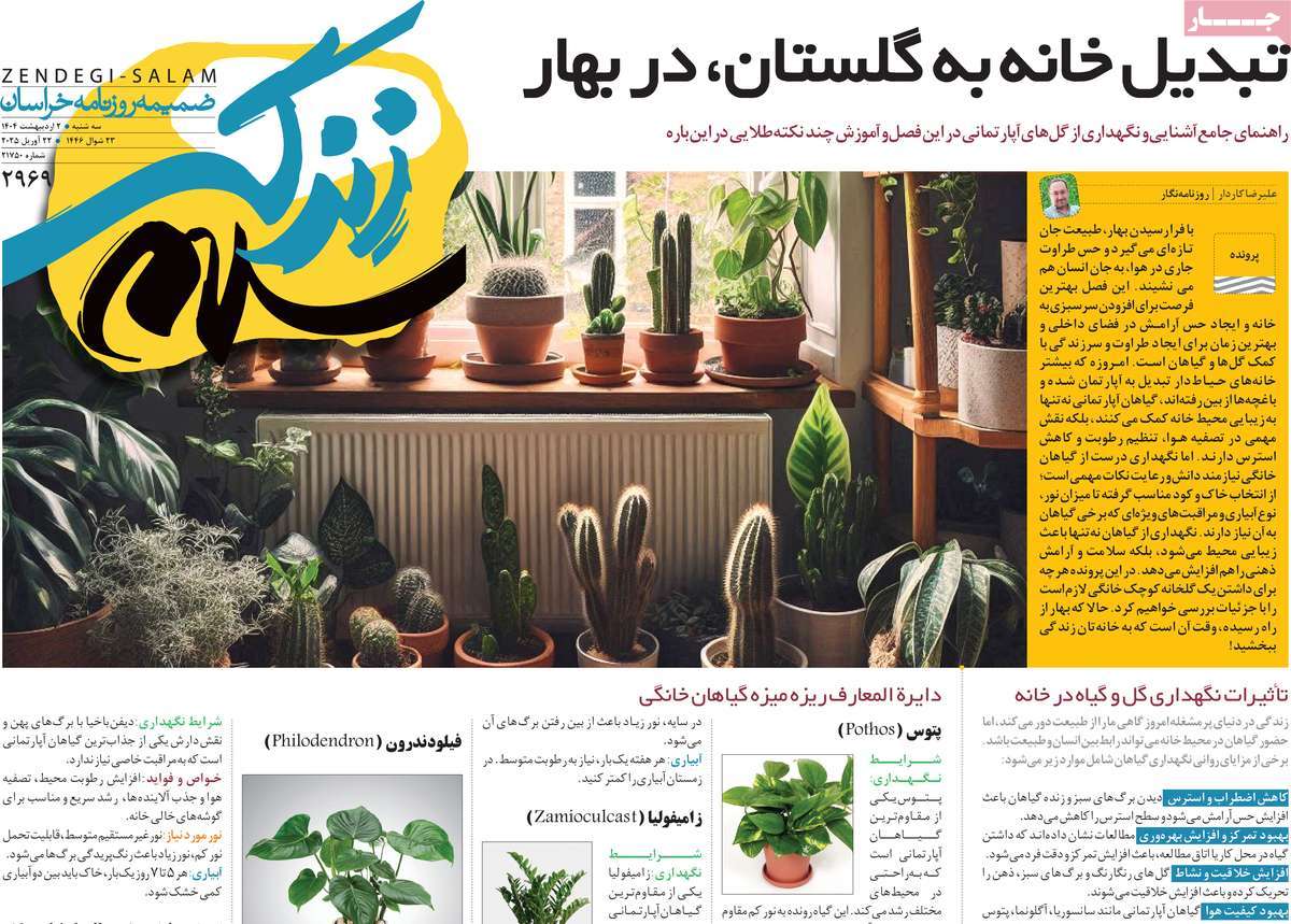 روزنامه زندگی سلام