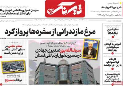 روزنامه تیرنگ