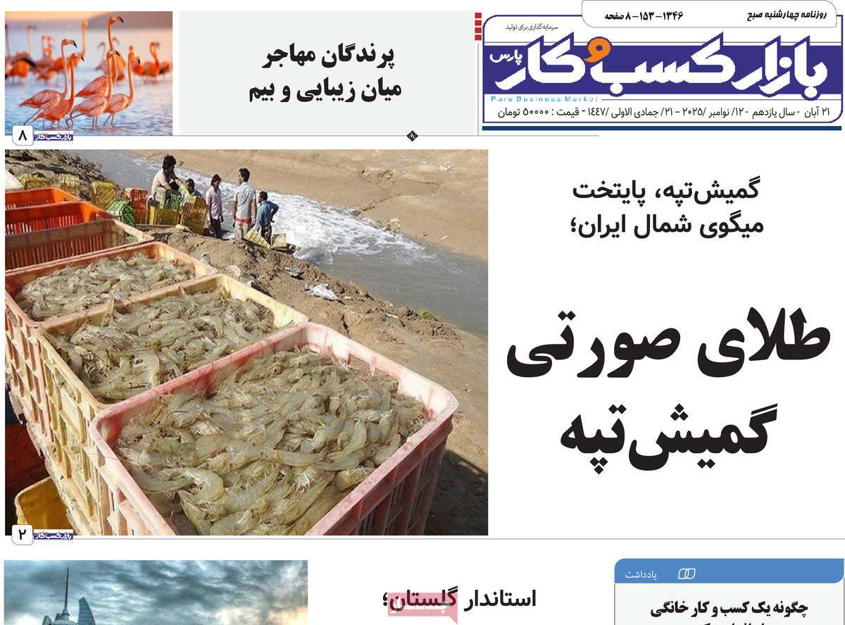 روزنامه بازار کسب و کار پارس