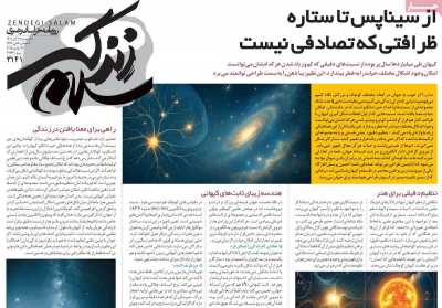 روزنامه زندگی سلام