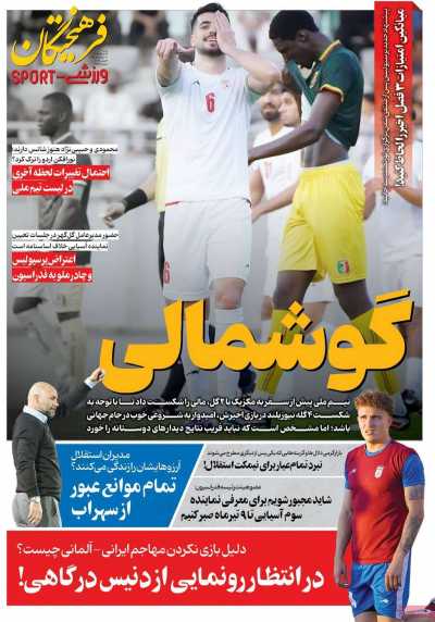 روزنامه فرهیختگان ورزشی